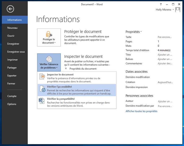 Capture d’écran de menu vérification de l’accessibilité